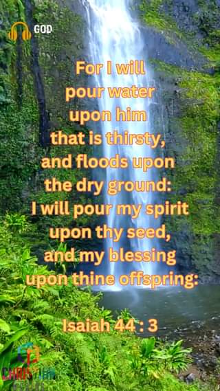 For I will pour water upon him that is thirsty, and floods upon the dry ground: …